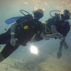 Meet your Posher, Madison